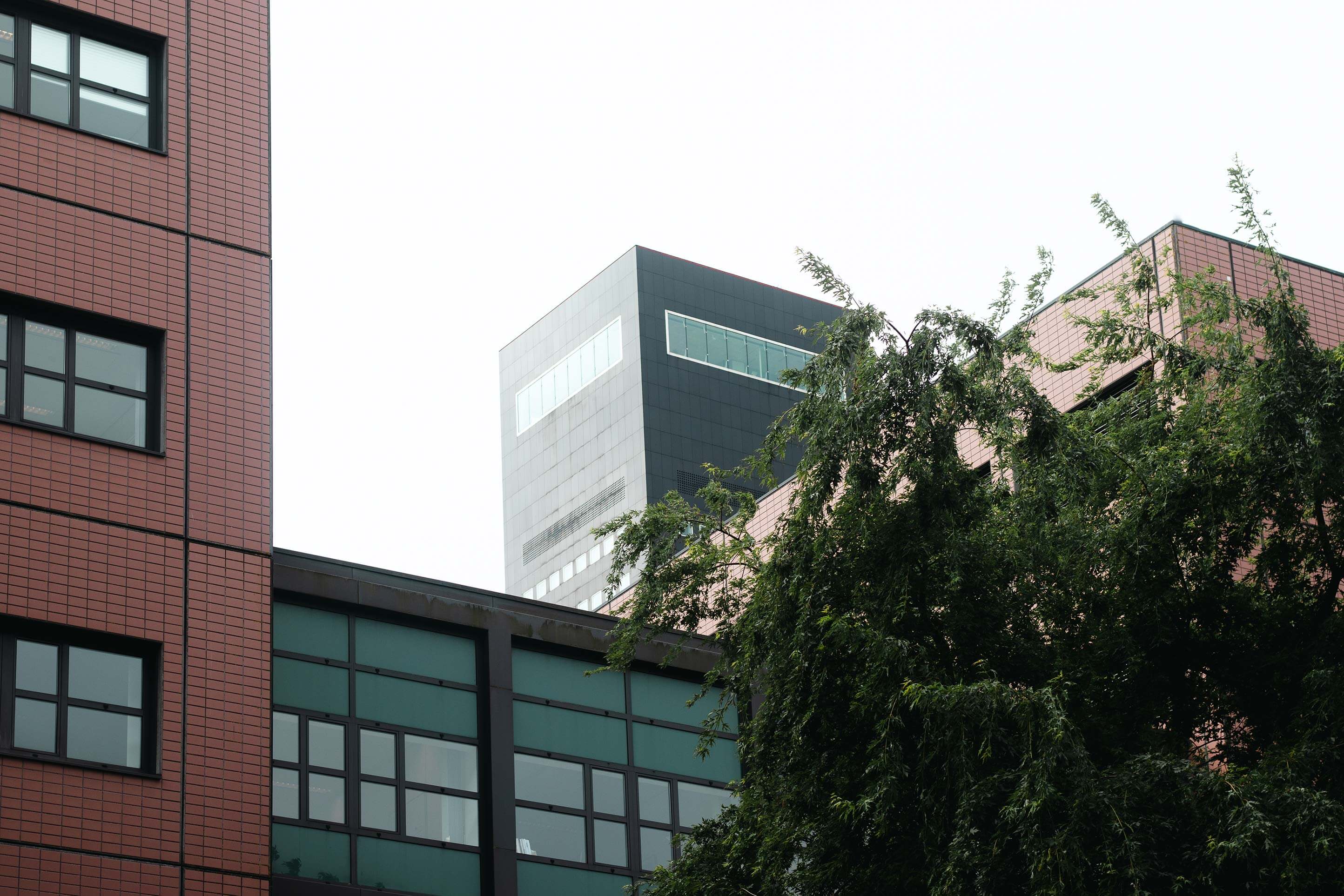 Diverse kantoren waaronder de Achmea-Toren, zichtbaar vanaf het Wilhelminaplein te Leeuwarden